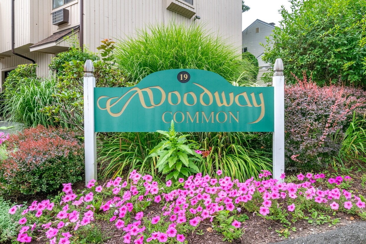 Primary Photo - 19 Woodway Rd