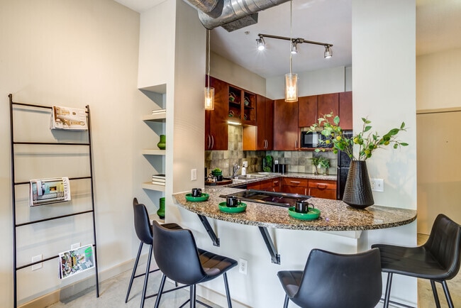 Loft Style - Herman Park! - 1 Month Off! - Loft Style - Herman Park! - 1 Month Off!