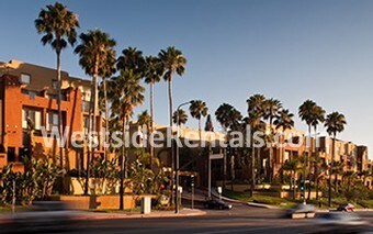 Primary Photo - 20500 Ventura Blvd