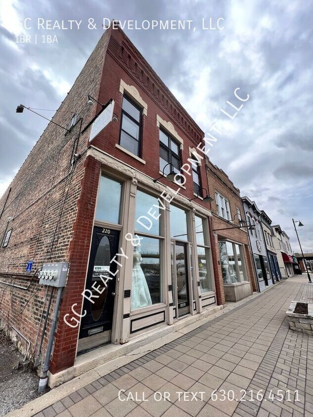 218220 Main St Unit 2R, Lemont, IL 60439 Condo for Rent in Lemont