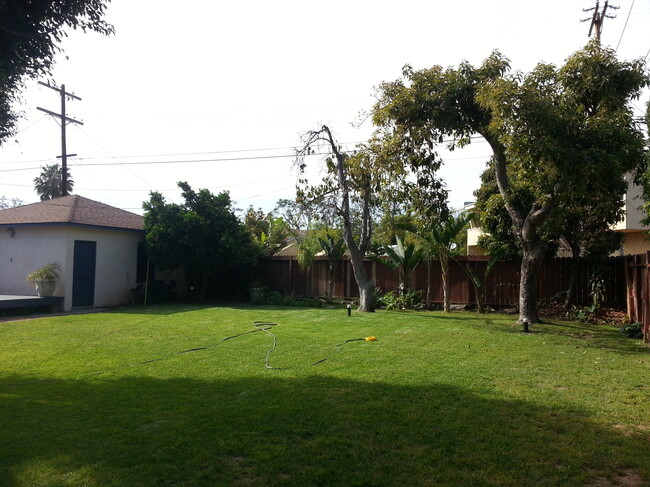 Another view of rear grassy sprinklered yard - 2624 S Westgate Ave