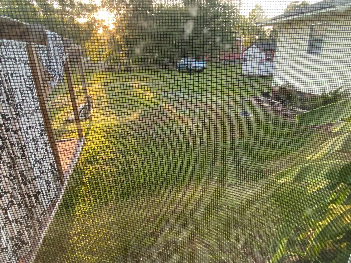 Backyard. More photos to come - 956 Saddletree Rd