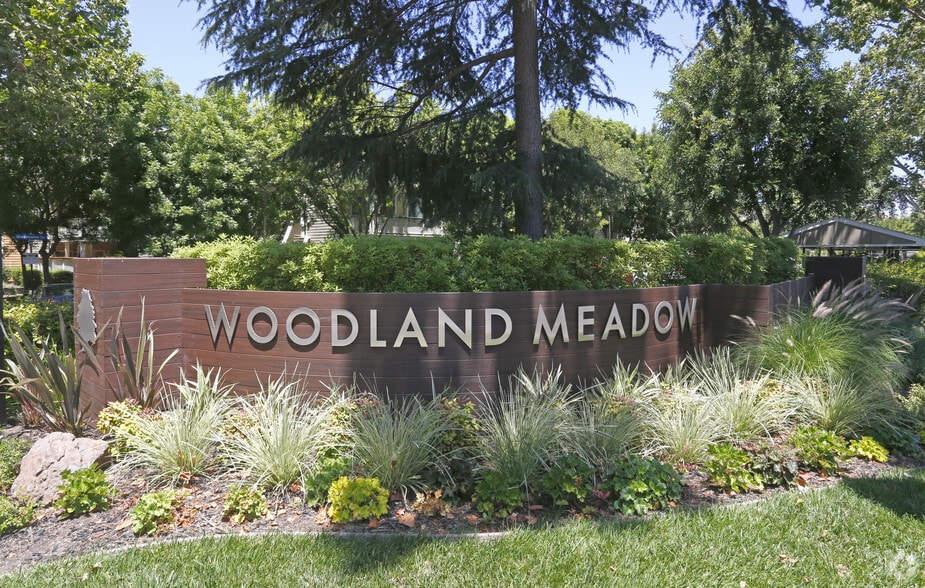 Woodland Meadow