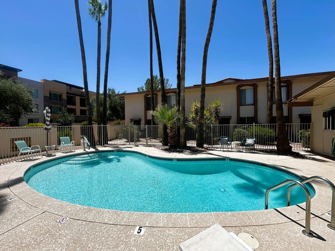 Prime Scottsdale Location! 2 bed 1.5 bath ... - Prime Scottsdale Location! 2 bed 1.5 bath ...