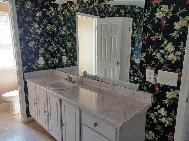 Master Bath Vanity - 1953 S Hill Rd