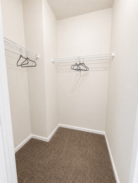 Troutman 2x2 - Primary closet - Palisades at Alcove