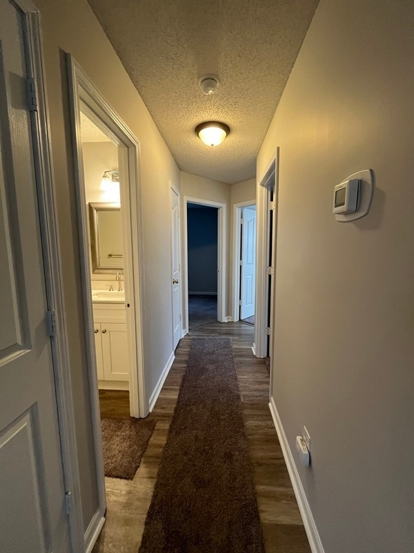 Foto del edificio - 12131 Brownestone View Dr