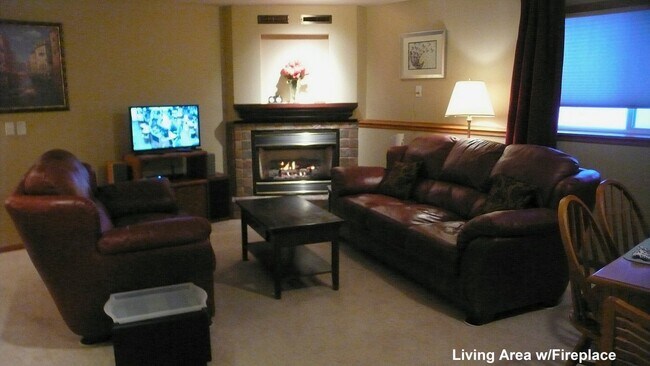 Living room with satellite TV, featuring gas fireplace with remote - 2646 Shadow Ln