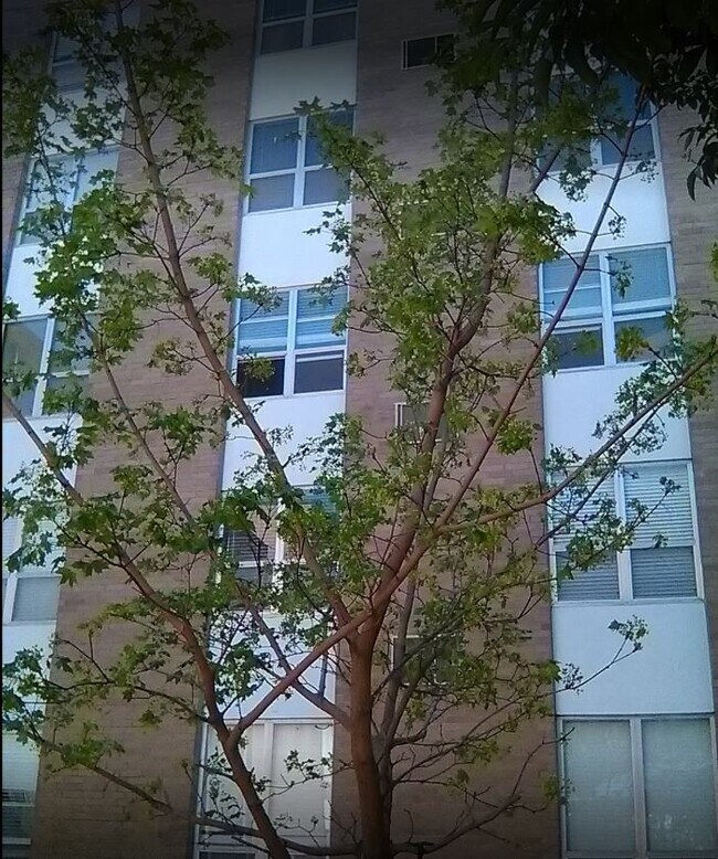 Foto del edificio - 3201 Sondra Dr