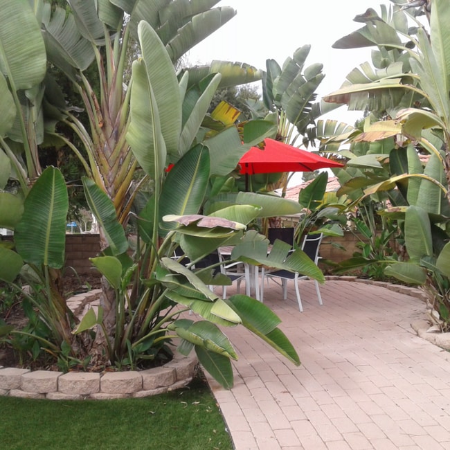 Building Photo - 2696 Magellan Ln