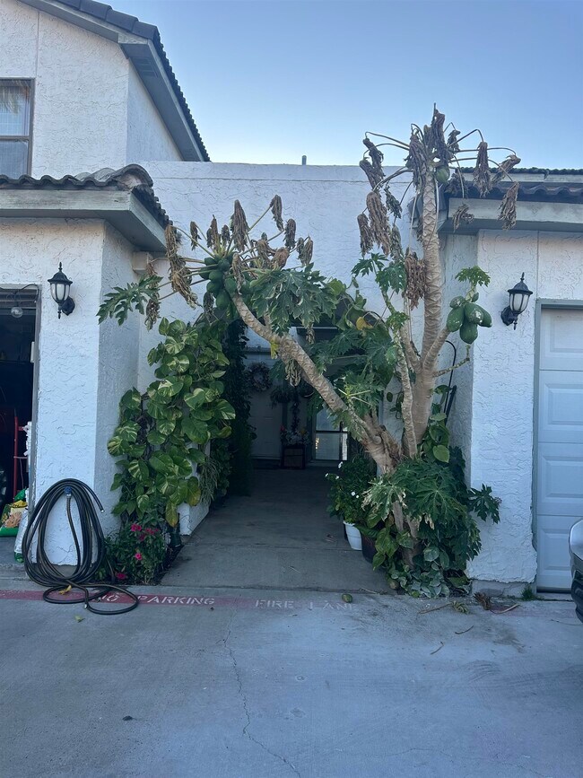 Foto del edificio - 100 W Village Blvd