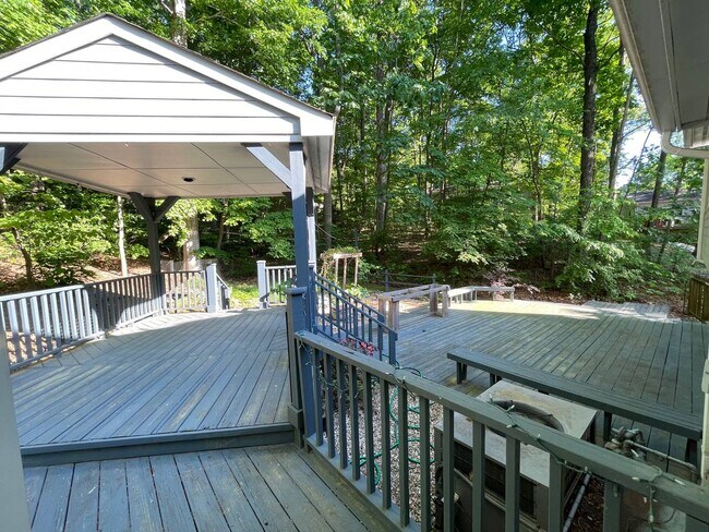 Backyard - 838 Madison Ave
