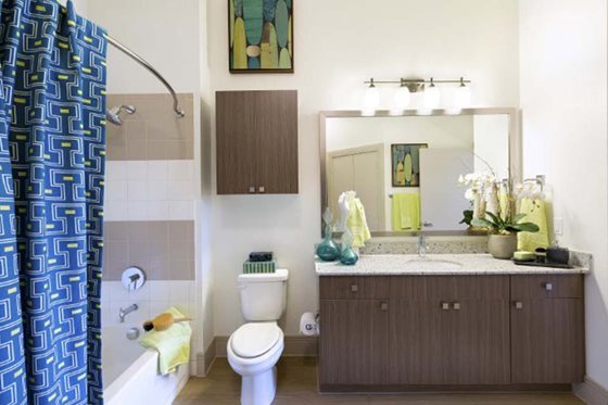 Building Photo - Superly Lovely 1 BR
