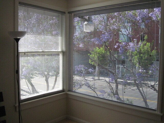 Primary Photo - 1548 6th Ave