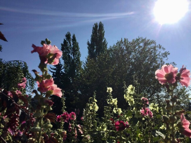 Foto del edificio - 150 Claffey Dr