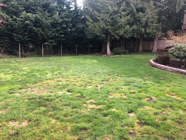 Back yard - 5123 Monticello Dr