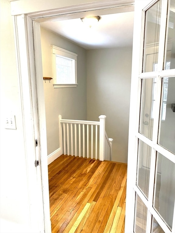 Building Photo - 281 Belgrade Ave