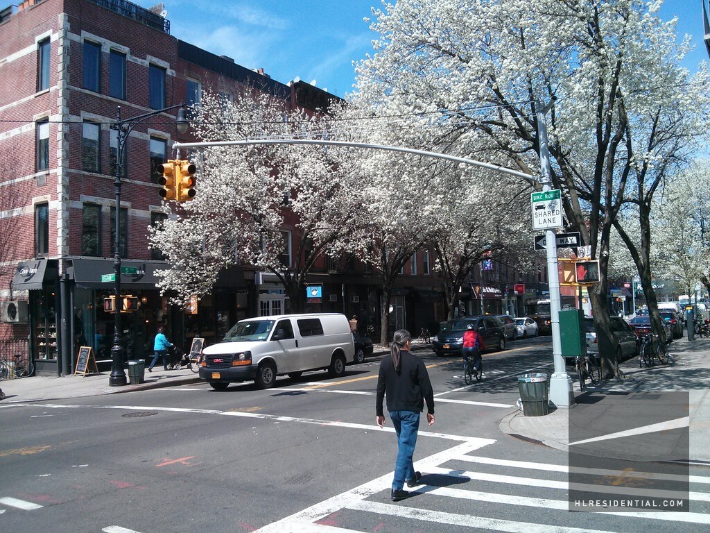 Primary Photo - 223 6th Ave