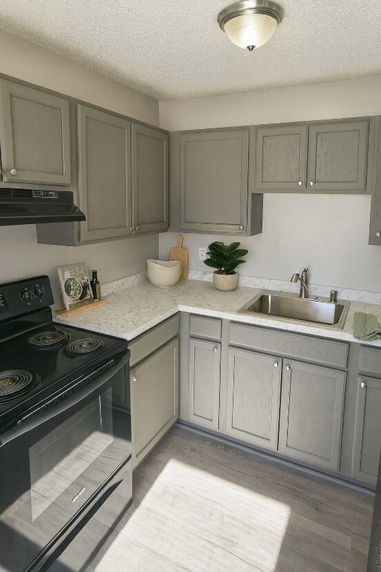 Building Photo - The Cove on Tazewell