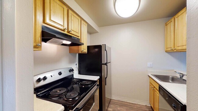 Interior Photo - Marina Playa