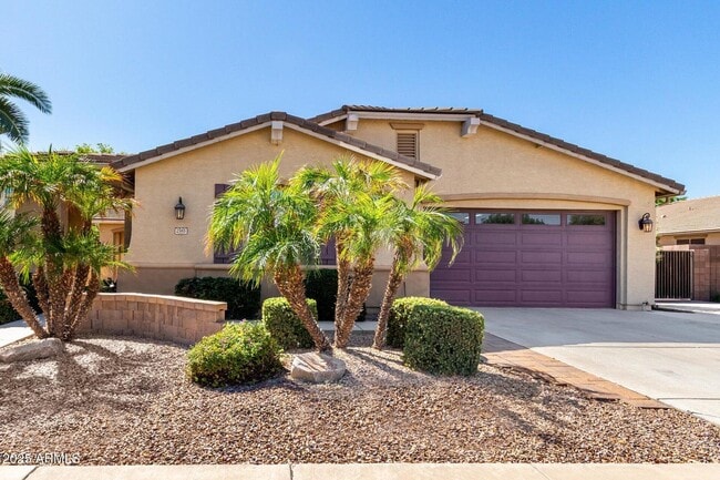 Building Photo - 2585 E Carob Dr