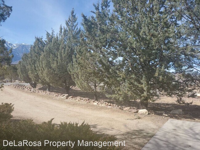 Building Photo - 3 br, 1 bath House - 453 Arboles Dr.