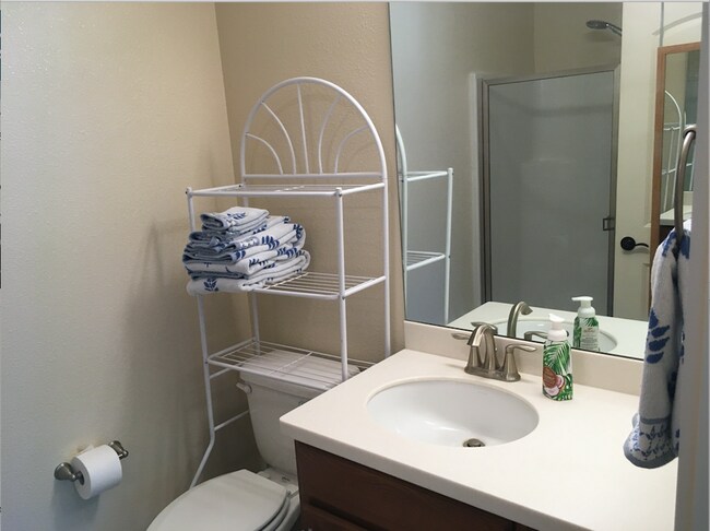 Over the toilet shelf remains - 2121 Oak Park Ln