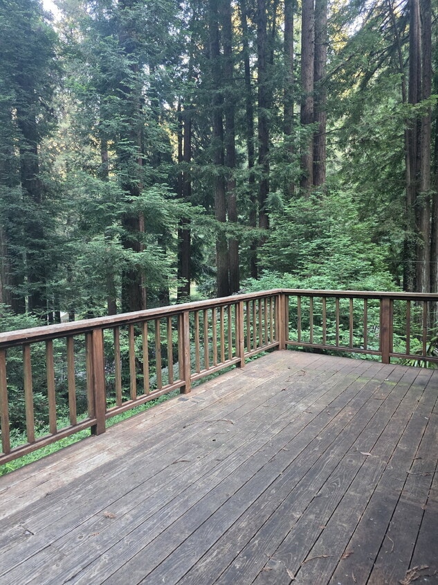 Primary Photo - Charming Private Cottage in the Redwoods