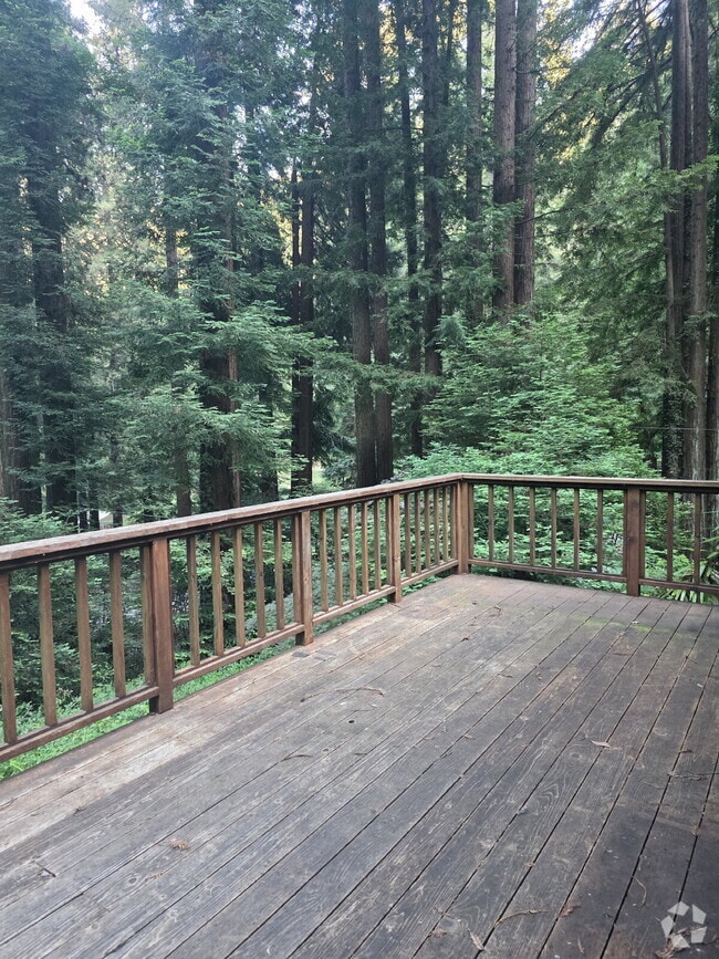Building Photo - 244 Madrone Dr
