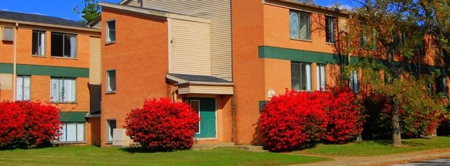 Building Photo - Woodland Park Apartments