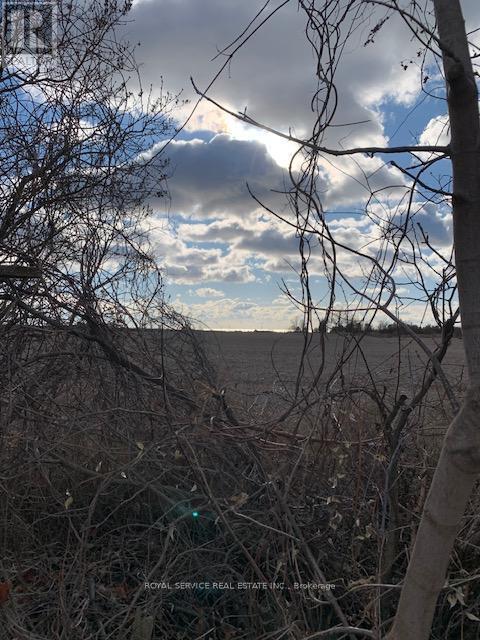 Building Photo - 1037 Arthur St