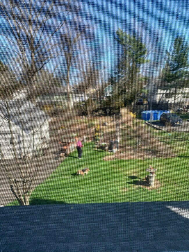 Huge Backyark - 19 Gates Ave