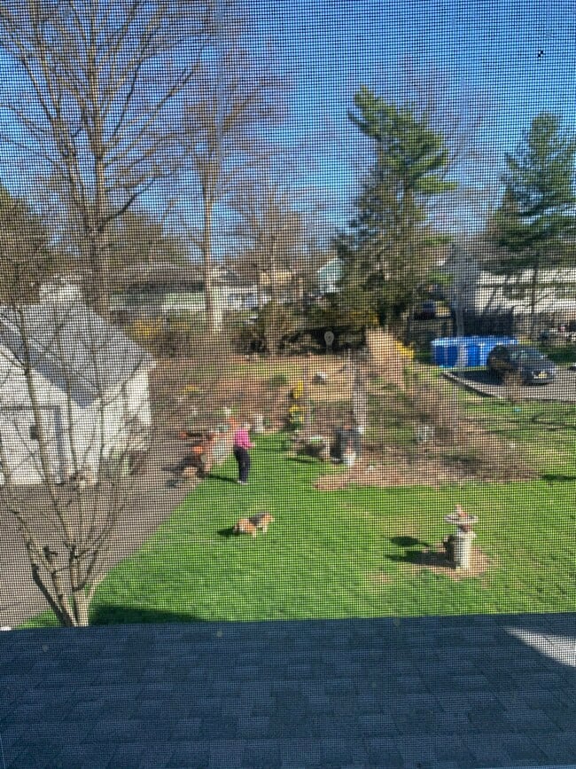 Huge Backyark - 19 Gates Ave