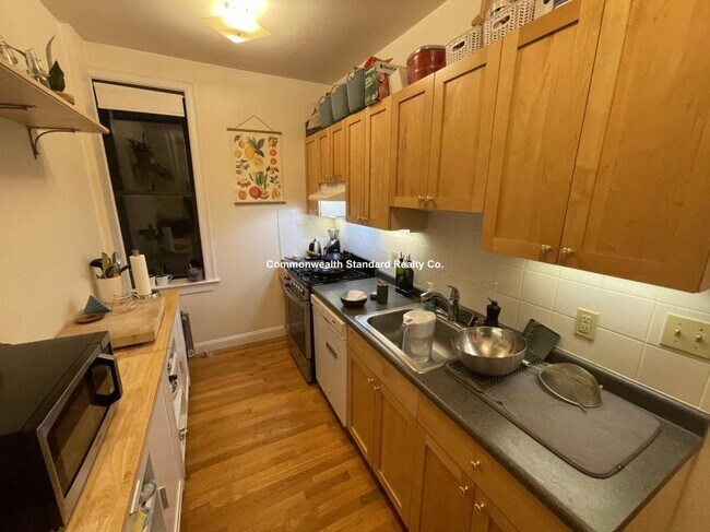 Building Photo - 2 bedroom in Brighton MA 02134