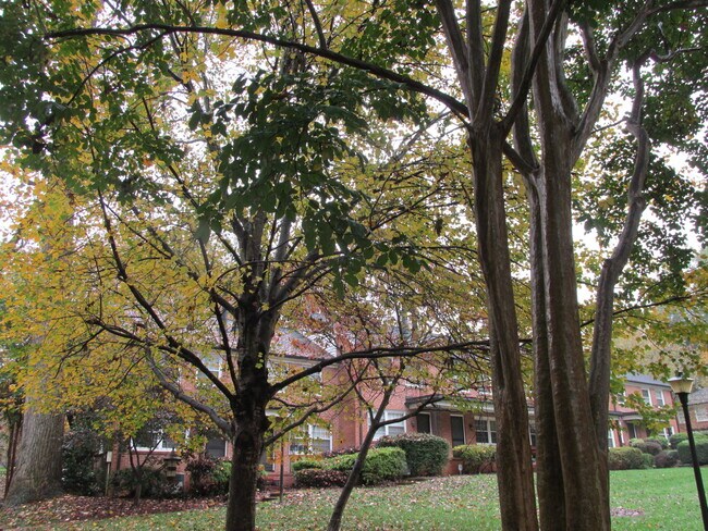 Building Photo - Laureldale Condo- 200 N. Laurel Ave #3B