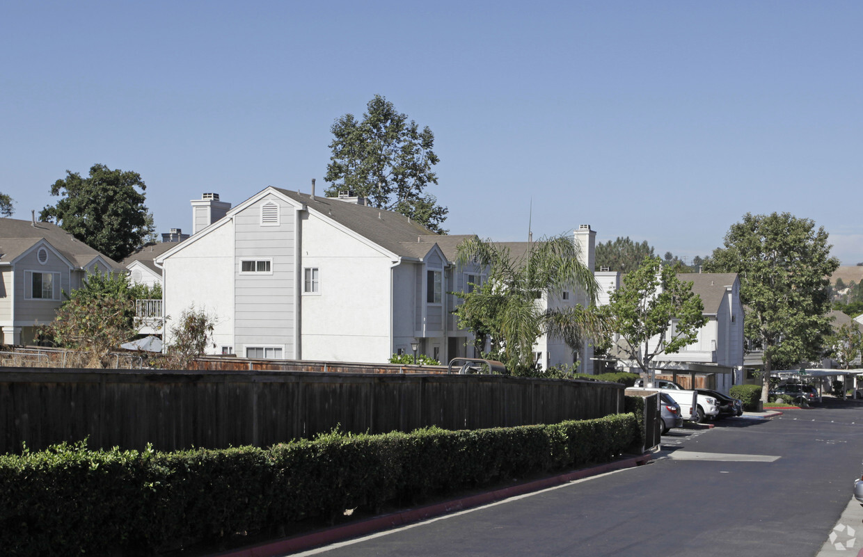 Building Photo - Ashford Park Condos