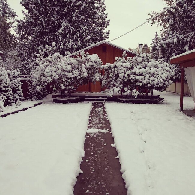 Finales de 2018 - 3842 Idaho St