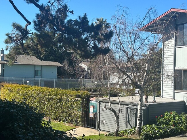 Building Photo - Beautiful Laurie Meadows San Mateo