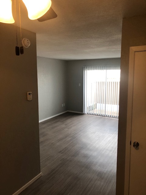 Downstairs Unit - Living Area - Aspen Place