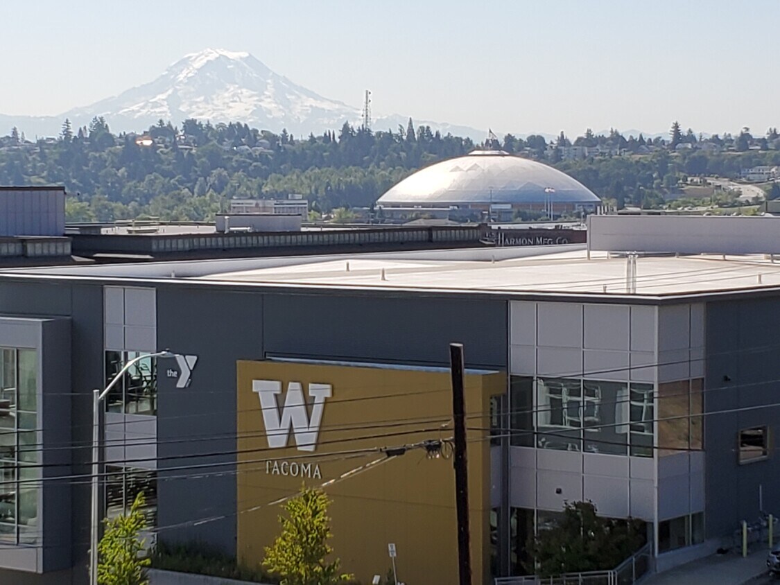 1545 Fawcett Avenue Unit 8, WA 98402 Apartments in WA