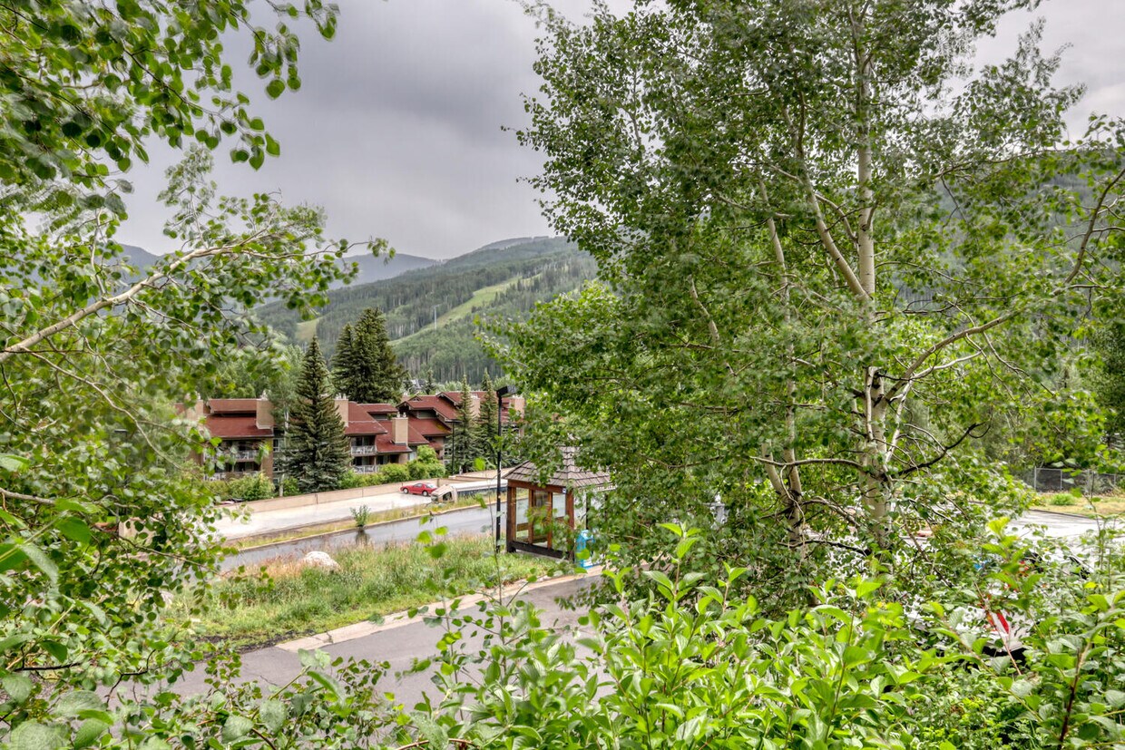 Primary Photo - 1063 Vail View Dr