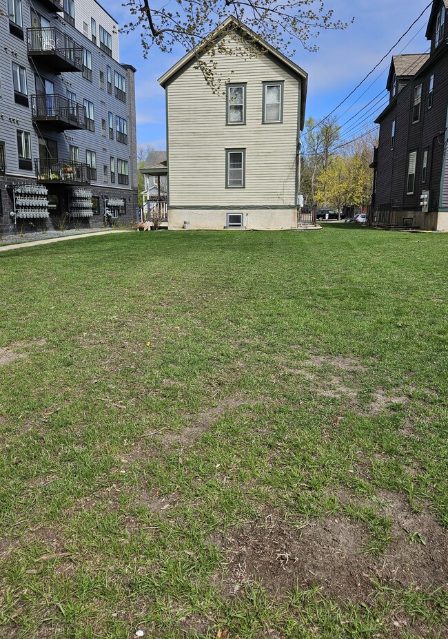 Large Shared Back Yard - 588 Selby Ave