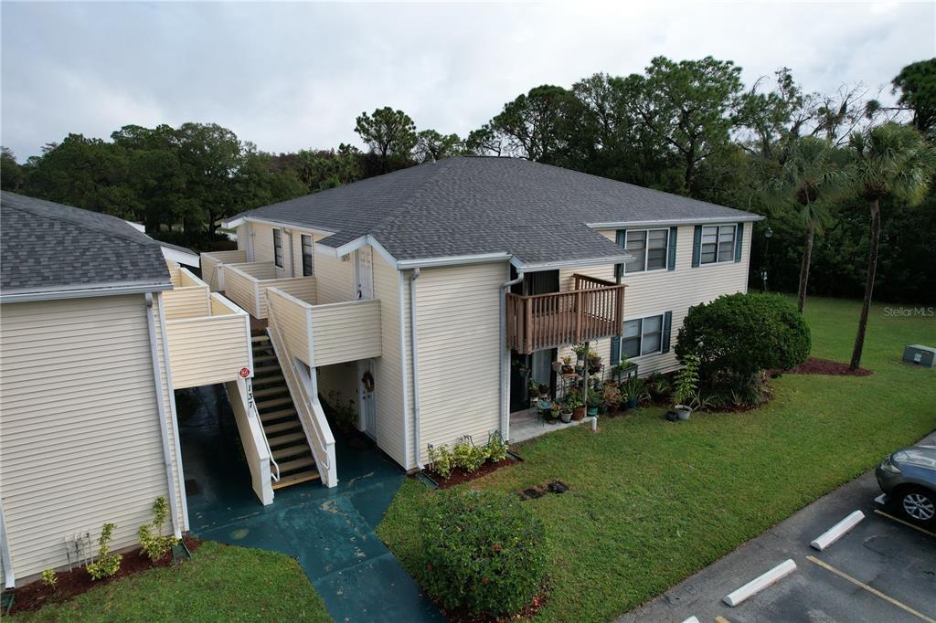 137 Hunter Lake Dr Unit D, Oldsmar, FL 34677 Condo for Rent in Oldsmar, FL