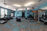 This fitness center is designed to support a comprehensive workout experience within a single, open-plan floor. The space is immediately distinguished by its bold teal-painted walls, complemented by patterned carpet tiles in teal, brown, and gray tones that add visual texture underfoot. Structural columns finished in a lighter teal shade are distributed throughout, lending an architectural rhythm to the layout while maintaining an open feel.

The cardio zone features a row of TRUE-brand treadmills and elliptical machines positioned along a windowed wall, allowing natural light to fill the space and providing outward views during workouts. Full-length mirrors along one wall visually expand the room and support proper form. Ceiling fans are installed throughout, promoting air circulation.

The strength training area is well-appointed with a multi-functional cable machine, a dedicated dumbbell rack, a weight bench, and an orange-accented power rack loaded with barbell attachments and additional resistance equipment. A plyo box by Xtreme Monkey is positioned centrally for functional training exercises. An adjacent storage room houses stability balls and supplemental accessories.

Flat-screen televisions mounted on the walls provide entertainment, while fluorescent overhead lighting ensures bright, consistent illumination throughout. Glass-panel entry doors connect the fitness center to the broader facility, offering a welcoming and transparent transition into the space.