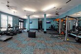 This fitness center is designed to support a comprehensive workout experience within a single, open-plan floor. The space is immediately distinguished by its bold teal-painted walls, complemented by patterned carpet tiles in teal, brown, and gray tones that add visual texture underfoot. Structural columns finished in a lighter teal shade are distributed throughout, lending an architectural rhythm to the layout while maintaining an open feel.

The cardio zone features a row of TRUE-brand treadmills and elliptical machines positioned along a windowed wall, allowing natural light to fill the space and providing outward views during workouts. Full-length mirrors along one wall visually expand the room and support proper form. Ceiling fans are installed throughout, promoting air circulation.

The strength training area is well-appointed with a multi-functional cable machine, a dedicated dumbbell rack, a weight bench, and an orange-accented power rack loaded with barbell attachments and additional resistance equipment. A plyo box by Xtreme Monkey is positioned centrally for functional training exercises. An adjacent storage room houses stability balls and supplemental accessories.

Flat-screen televisions mounted on the walls provide entertainment, while fluorescent overhead lighting ensures bright, consistent illumination throughout. Glass-panel entry doors connect the fitness center to the broader facility, offering a welcoming and transparent transition into the space.