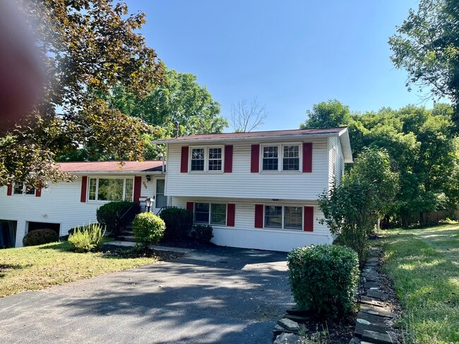 Building Photo - 304 Mayson Ave
