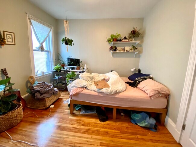 Foto del edificio - 3 Oswald St