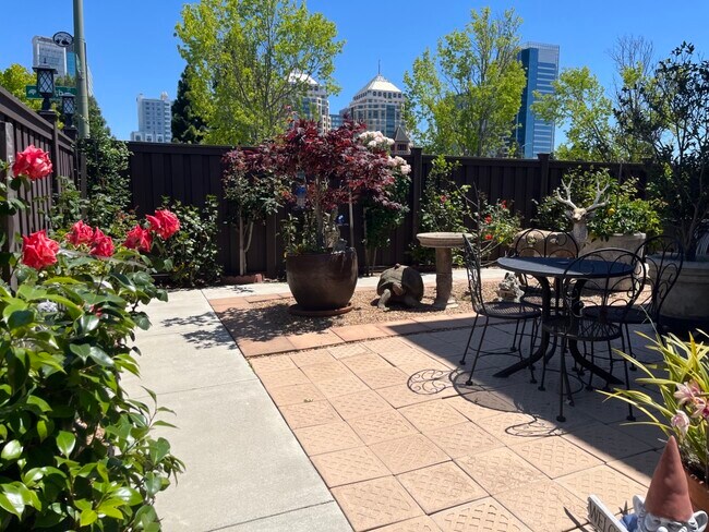 El jardín tiene manzanos, ciruelos, melocotoneros y limoneros. - 763 15th St