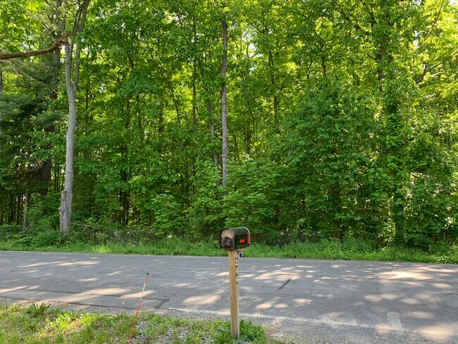 Bosque Sapsucker al otro lado de la calle - 246 Sapsucker Woods Rd