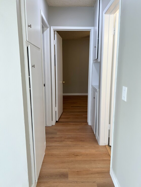 Foto del edificio - 2411 Pattiglen Ave